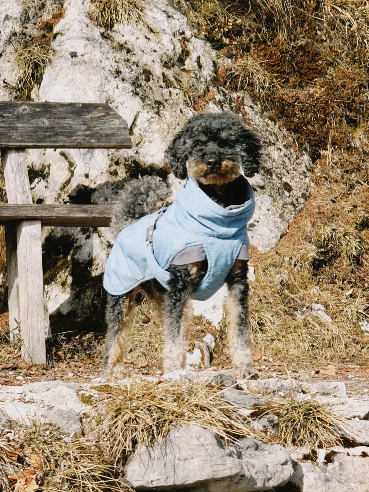 Barry im hellblauen Mantel vor Felsen und Holzbank