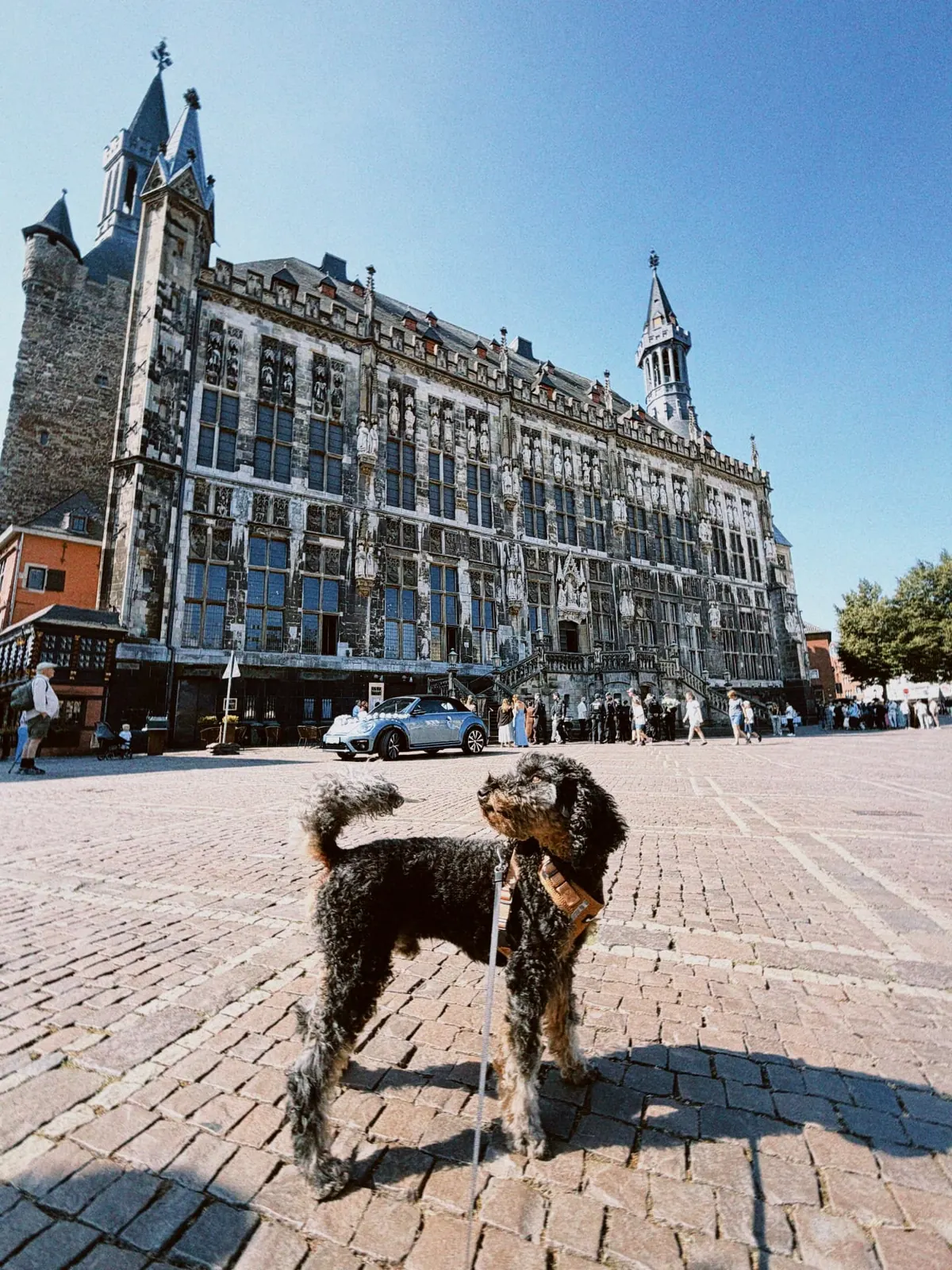Barry vor dem historischen Rathaus in Aachen